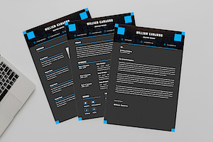 Graphic Camarro Resume Designer