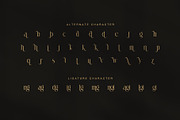 Sangid Elegant Serif Font, a Serif Font by Graphicxell (Thumbnail 8 of 8)