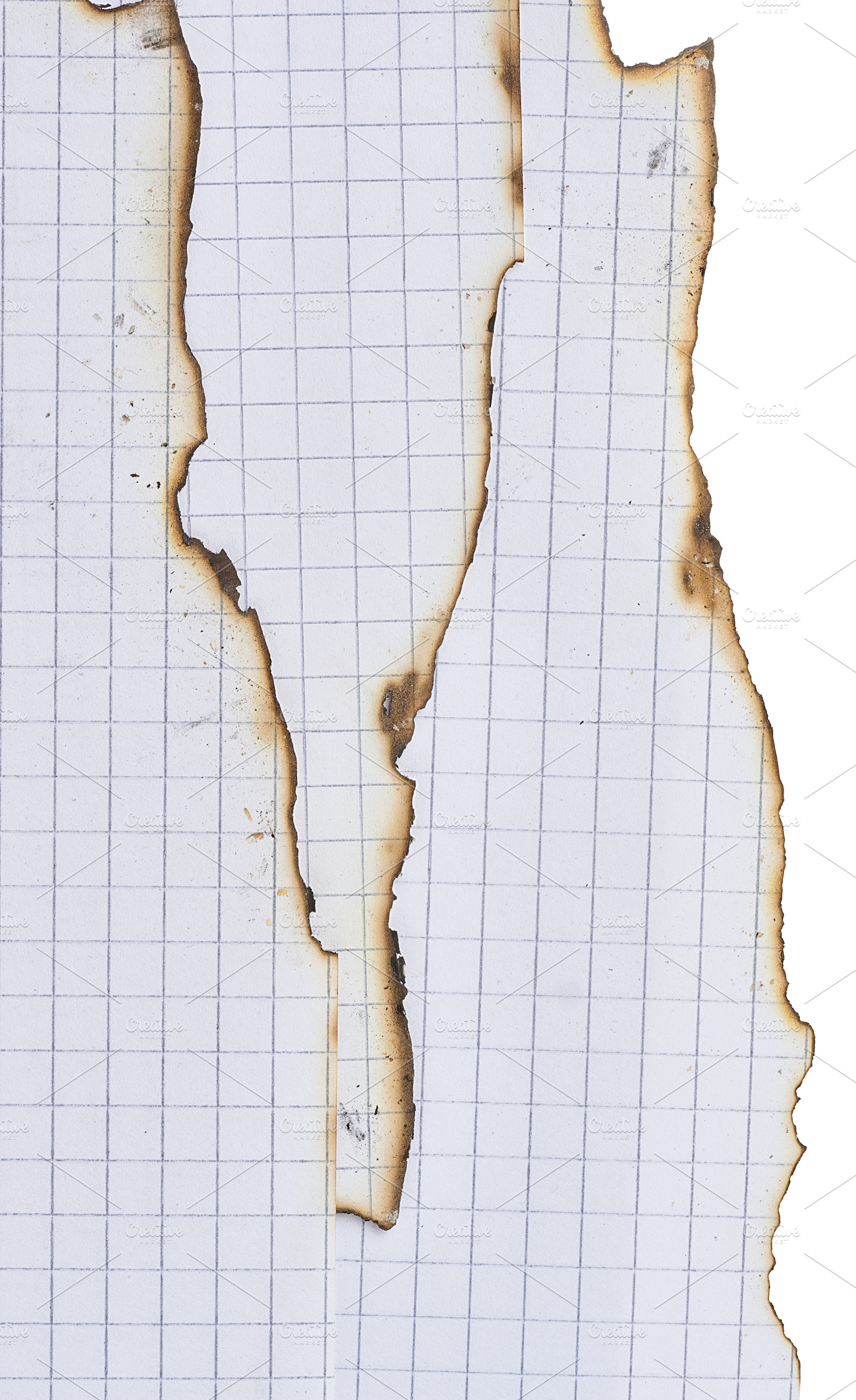 Torn and burnt edges of squared notebook sheets, close up, an Abstract Photo by ndanko