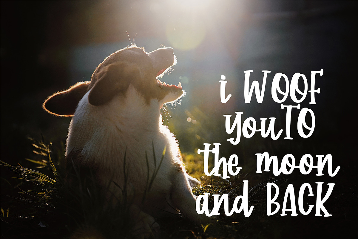 Corgi Puppy - Handwritten Font preview 5