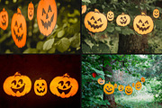 38 Rustic Autumn Images, a Holiday Photo by pictures for you (Thumbnail 10 of 12)