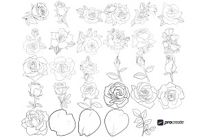 Rose Outline Set 2 Procreate Brush