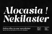 Pronela (Serif Family Typeface), a Font by Fontastic (Thumbnail 14 of 15)