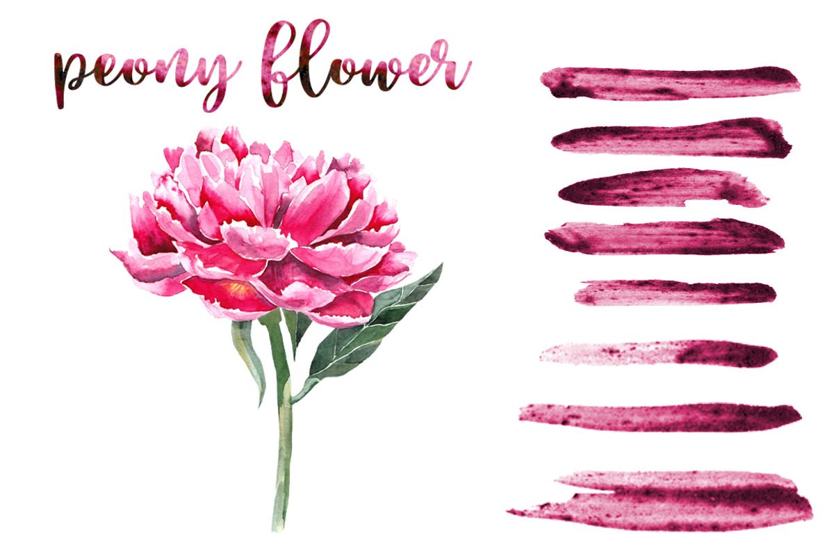 22 Watercolor blueberry brushes., a Brush Add-On by redstudio (Photo 9 of 10)