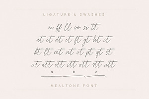 Mealtone Signature Script Font