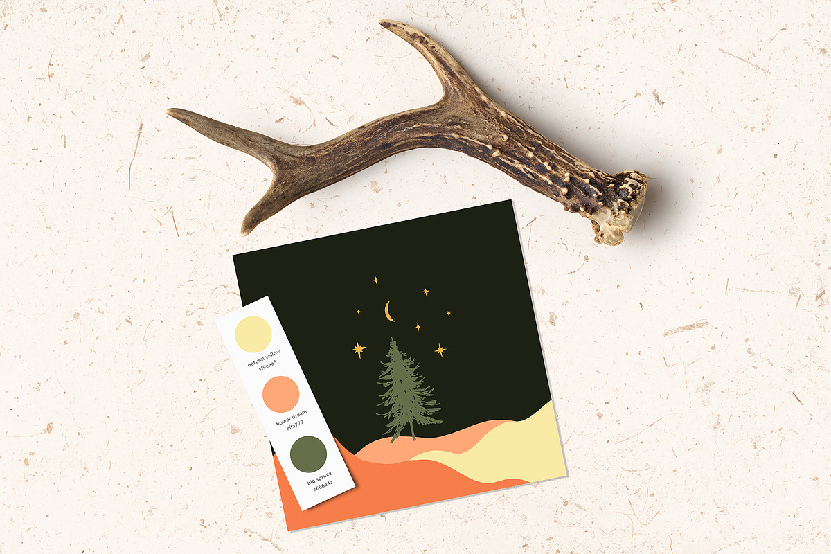 Forest Bundle, an Animal Illustration by Annie Konst (Photo 5 of 23)