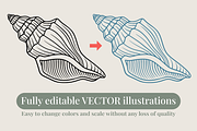 Seashell Coastal Vector Illustration, an Animal Illustration by Kusumaillustration (Thumbnail 5 of 9)