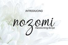 Nozomi | Handwriting Script Font