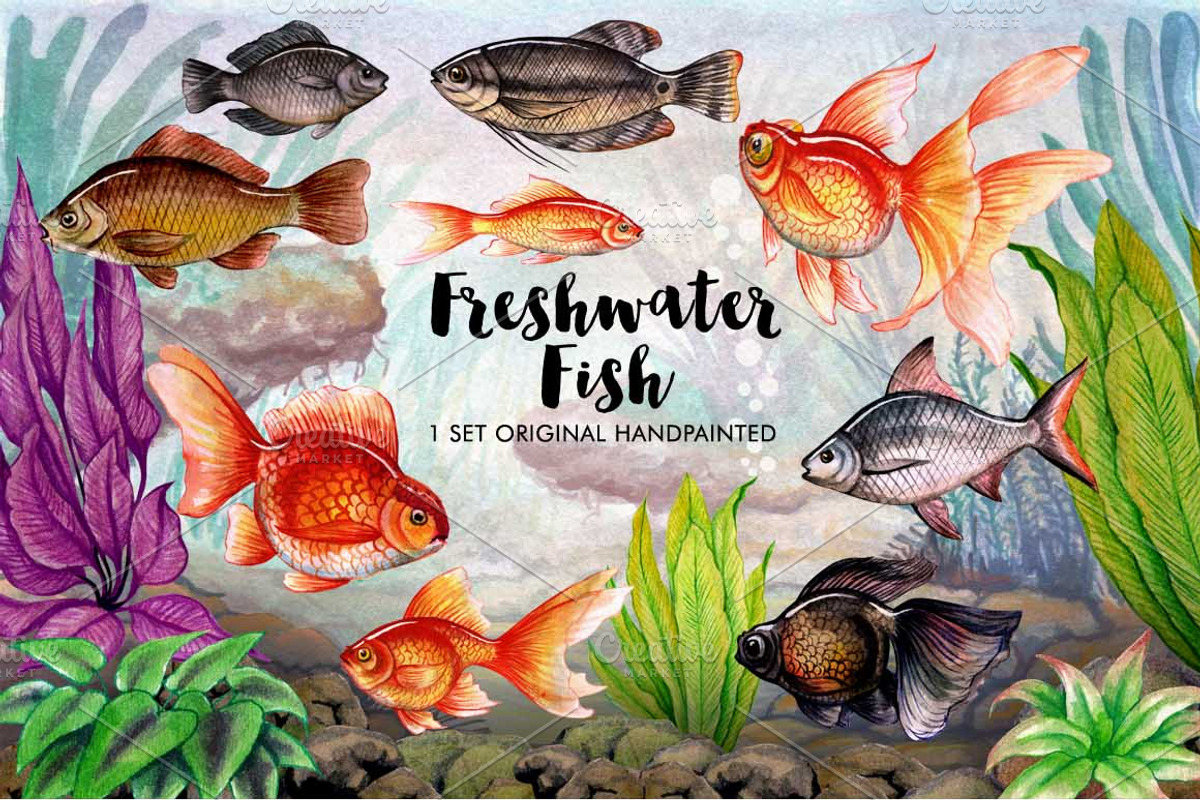 Fishing Lovers, an Illustration by Graphobia (Photo 12 of 12)