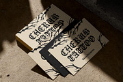 CS Modula – Old English Font, a Blackletter Font by Craft Supply Co. (Thumbnail 6 of 8)