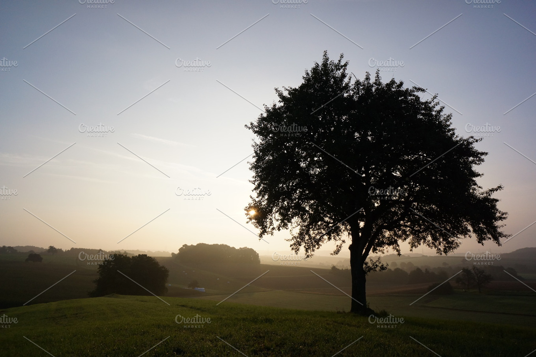 Great Day 4 Featuring Landscape Nature And Acre