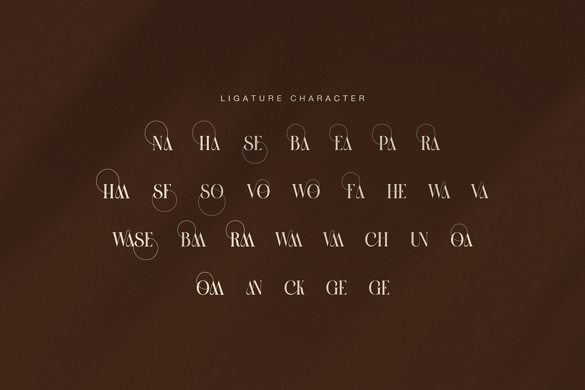 Hawase Elegant Serif Font, a Serif Font by Graphicxell (Photo 8 of 8)