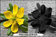 Infrared & Ultraviolet Monochrome v3, a Plug-in Add-On by Raztrend (Thumbnail 20 of 30)