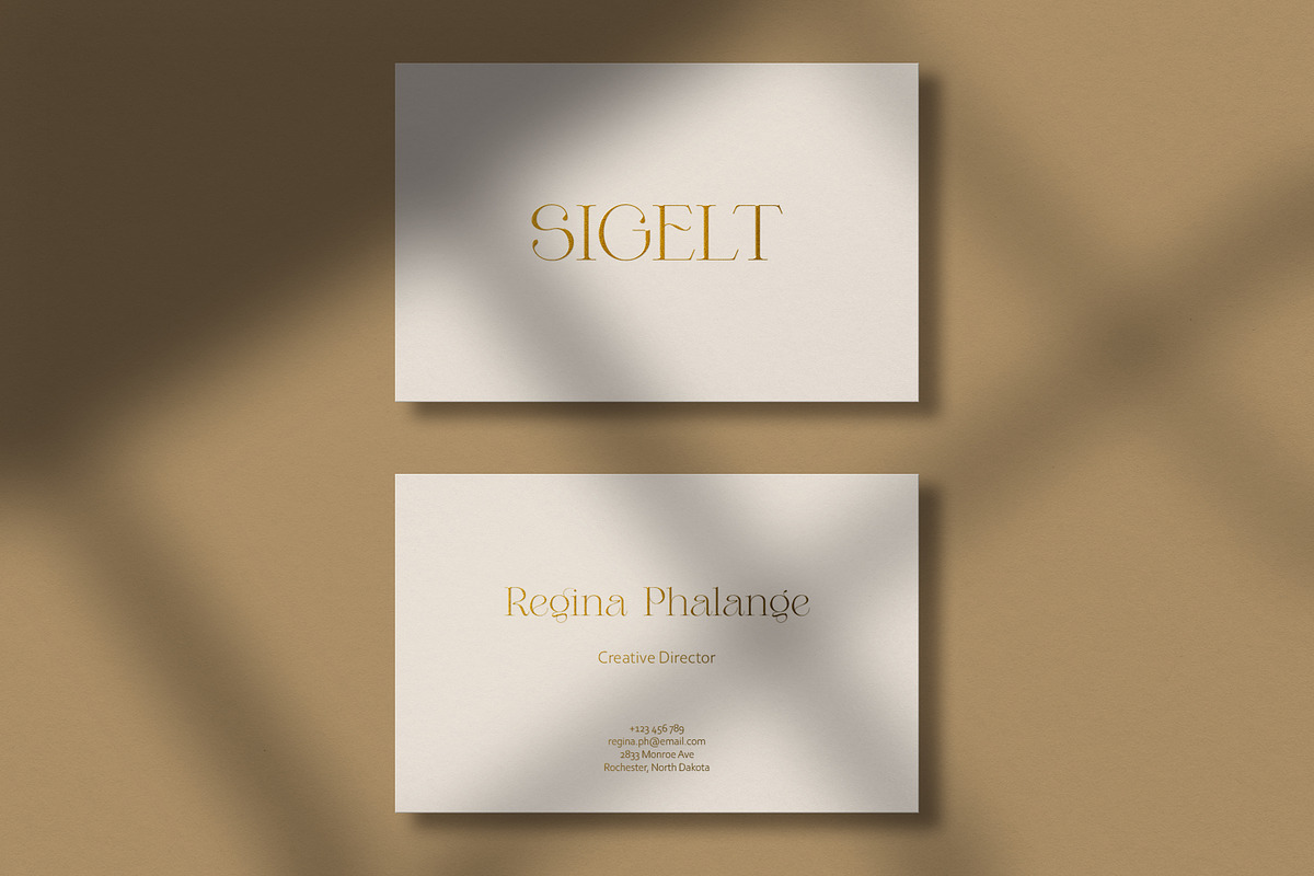 Business card template & mockups, a Business Card Template by Sigelt (Photo 2 of 4)