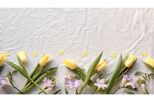 Yellow tulips and pastel spring, a Nature Photo by tilialucida