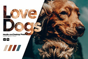 Love Dogs Presets for Lightroom, a Preset Add-On by Hubzway (Thumbnail 1 of 5)