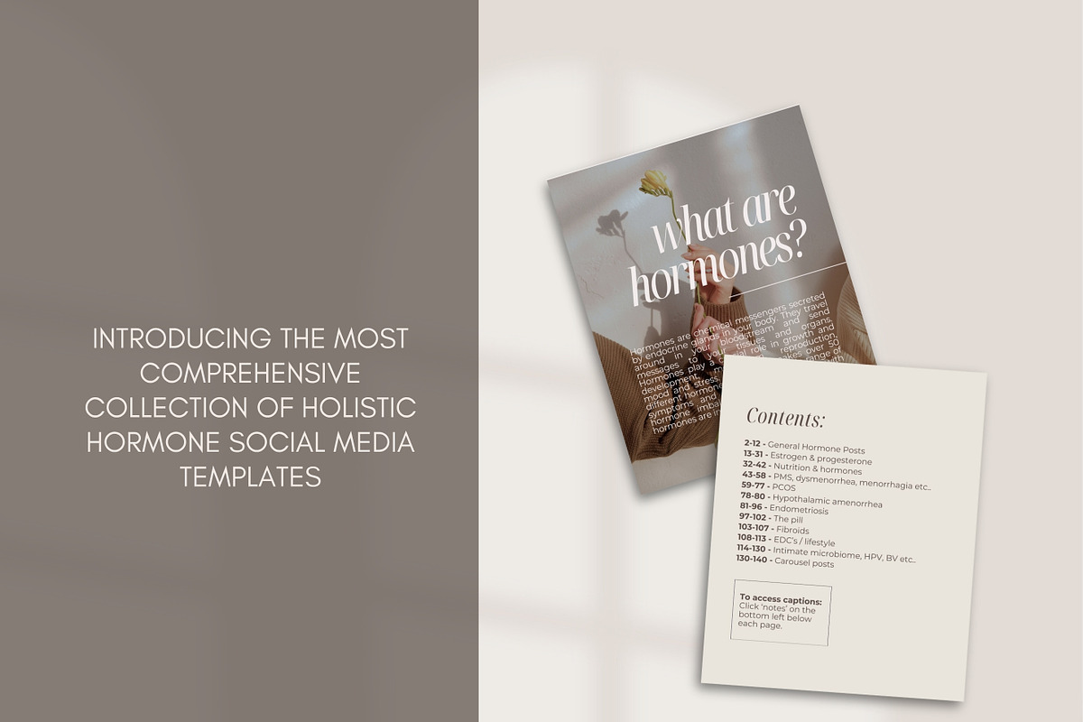Hormone Instagram Posts Canva preview 2