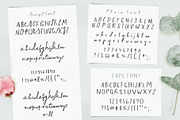Script Font and Logos - Sage & Pink, a Script Font by pixelcolours (Thumbnail 10 of 17)