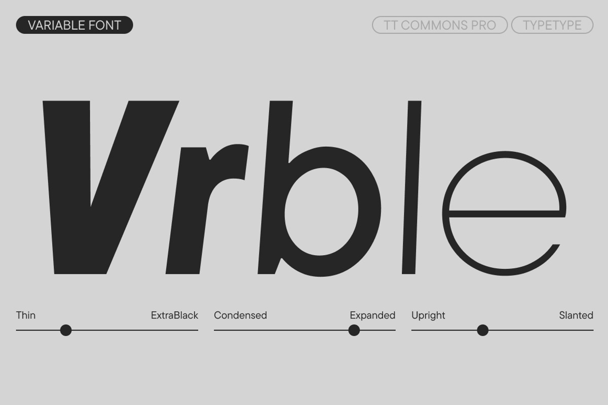 TT Commons Pro Basic, a Sans Serif Font by TypeType (Photo 5 of 15)