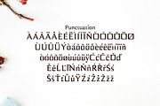 Birtle Serif 3 Font Family Pack, a Serif Font by Creativetacos (Thumbnail 4 of 5)
