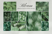 Silvam - Natural Backgrounds, a Background Graphic by Watercolor_Ma (Thumbnail 3 of 9)
