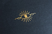 Aerial Logo Collection Classic, a Branding & Logo Template by Michael Rayback Design (Thumbnail 16 of 21)