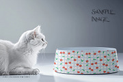 Pet Bowls PNG & PSD Mockups, a Product Mockup by mock-ups (Thumbnail 8 of 12)