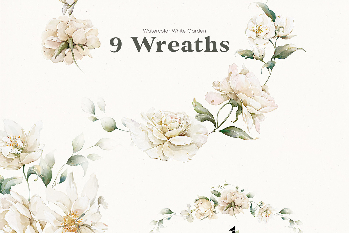 Watercolor White Flowers Collection, a Decorative Illustration by Damian Roh (Photo 9 of 16)