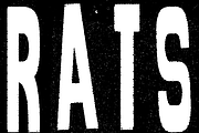 Templeton, a Sans Serif Font by Andrew Hochradel (Thumbnail 6 of 6)