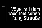 Avancar Condensed Font Family, a Sans Serif Font by Ryul Davidson (Thumbnail 10 of 19)