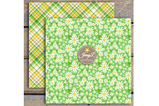 Daisy Flower Digital Paper Clipart, a Pattern Graphic by JennyL Designs (Thumbnail 5 of 8)