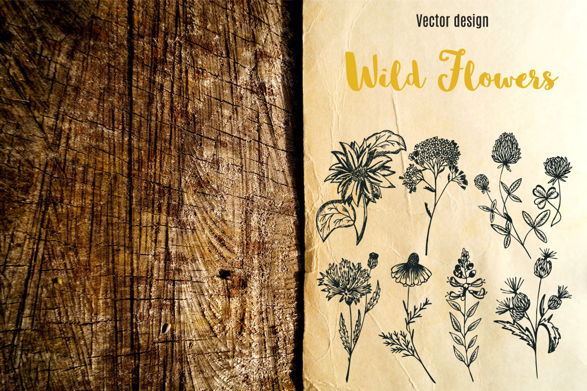 Big collection wild flowers!, an Illustration by TashaDraw (Photo 3 of 6)