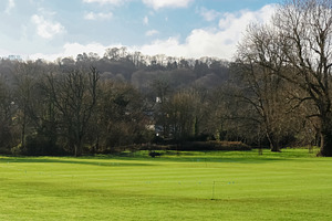 Lush green meadow with striped lawn and distant forest under a b, a Photo by Studio ANNA