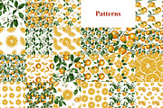 Oranges flowers and fruits clip art, a Food Illustration by Alena Sid (Thumbnail 10 of 14)