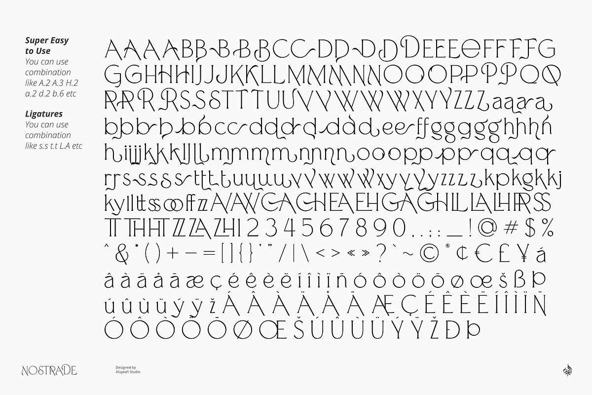Nostrade, a Serif Font by Aluyeah Studio (Photo 15 of 15)