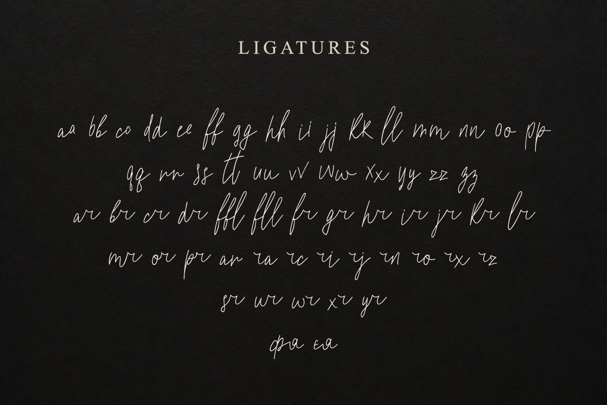 Safielle – Luxury Signature Script, a Script Font by chekart (Photo 3 of 12)