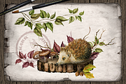 Hedgehog Watercolor Illustration, a Decorative Illustration by DioFlow (Thumbnail 4 of 6)