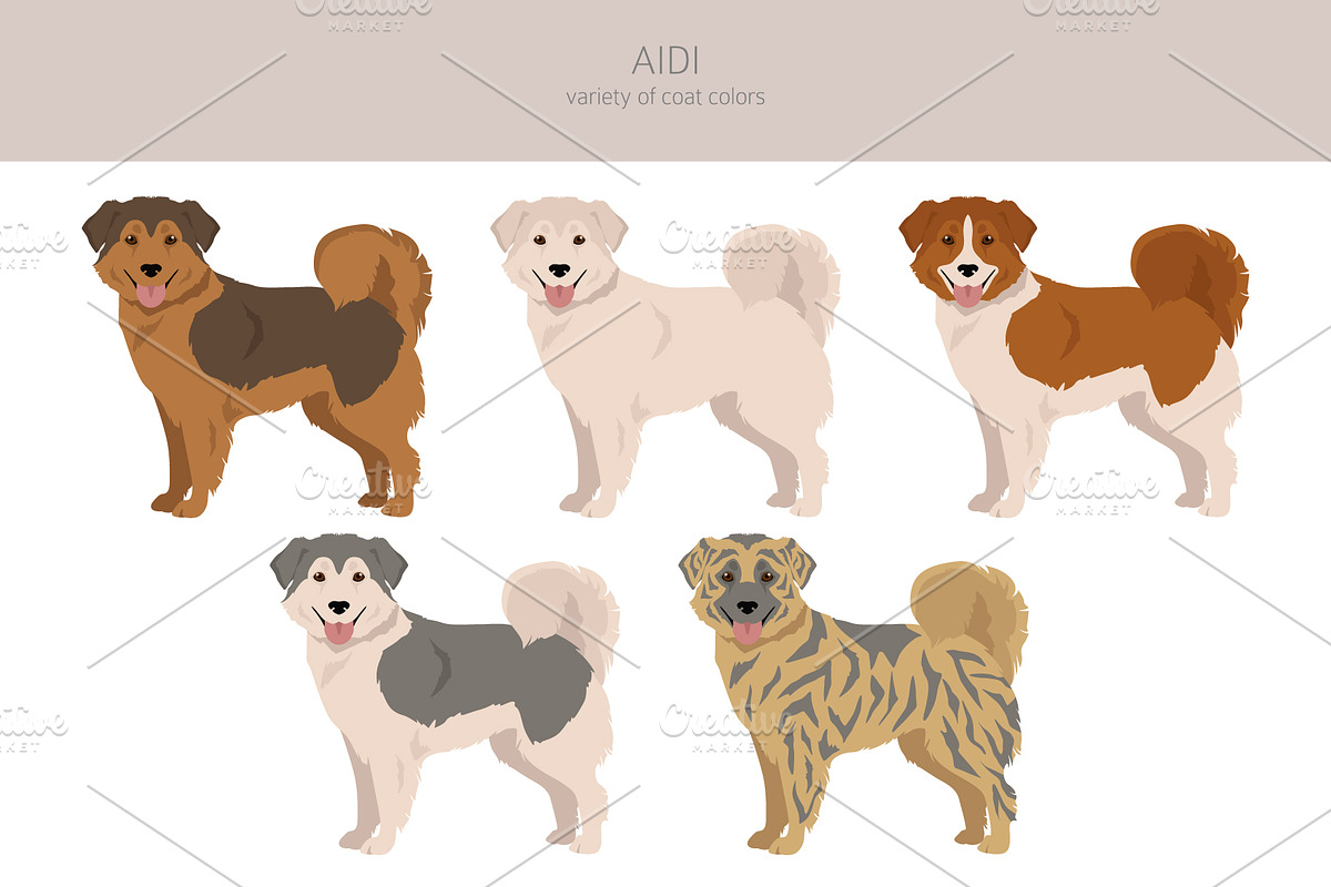 Aidi dog clipart, an Animal Illustration by pet design shop (Photo 4 of 6)