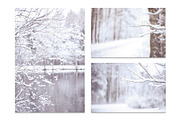 Winter Blurred background, a Nature Photo by WildStrawberry Magic (Thumbnail 5 of 9)