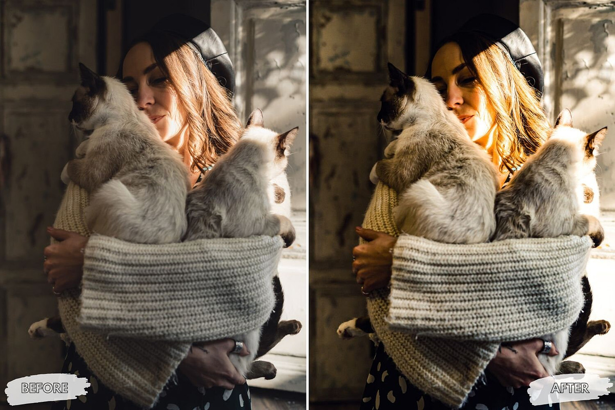 10 Curious Cat Lightroom Presets, a Preset Add-On by LucaTheme (Photo 9 of 9)