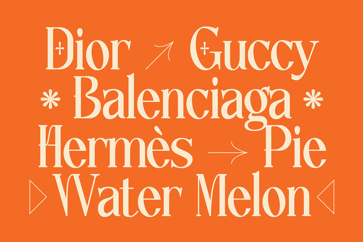 Lettertype a Stunning Display Serif, a Serif Font by Lettertype Studio (Photo 4 of 20)