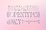 Meal - Serif Display Family, a Serif Font by Holyline Design (Thumbnail 9 of 15)