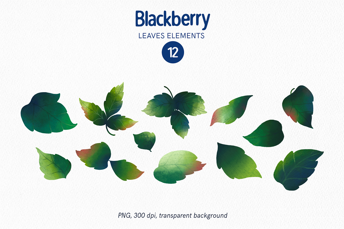 Blackberry fruits and leaves clipart, a Food Illustration by Harmony Draws (Photo 3 of 6)