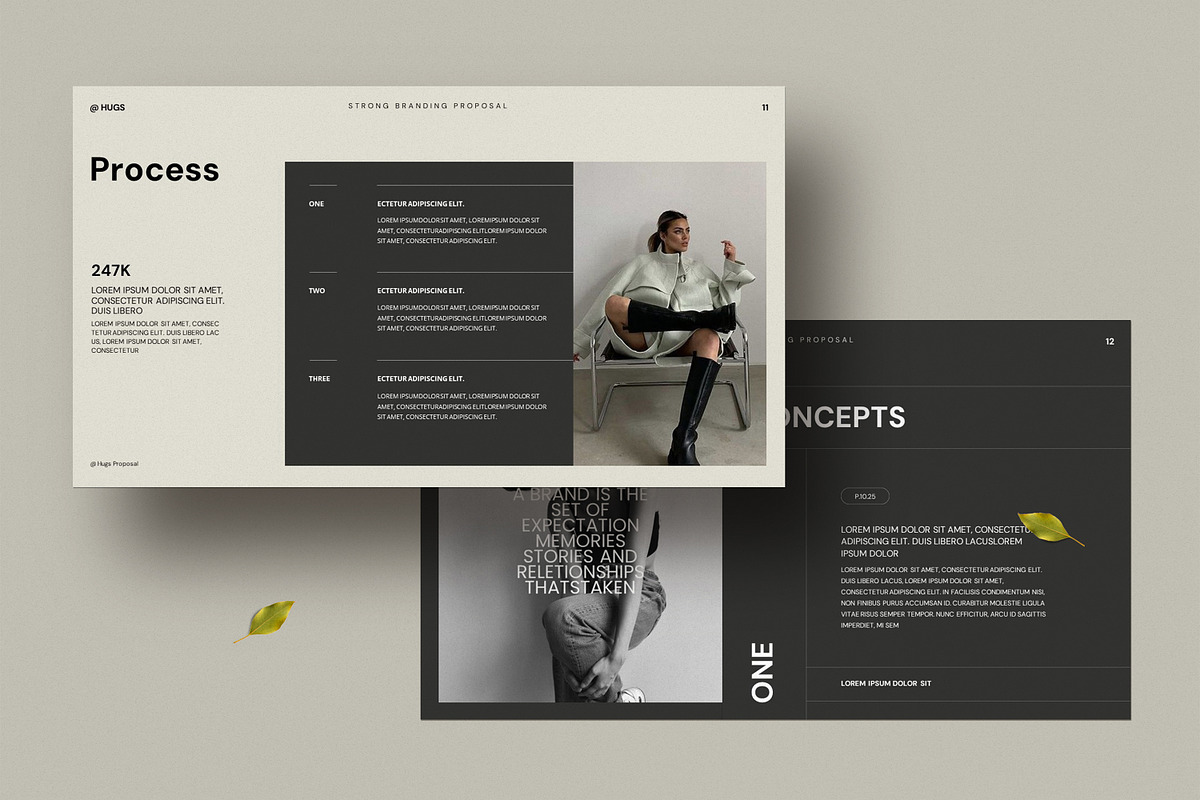 Brand Proposal Presentation Template, a Presentation Template by Dream-Lab (Photo 6 of 9)
