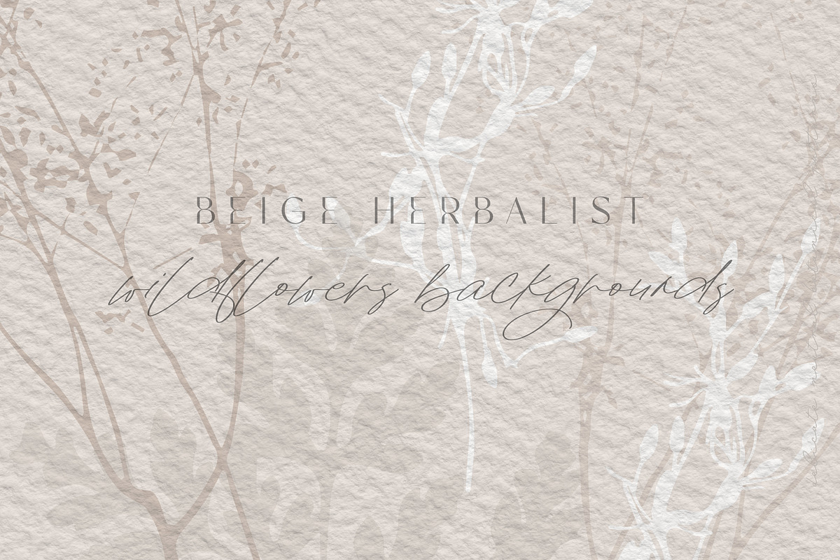 Beige botanical pattern collection, a Pattern Graphic by Anna Sokol (Photo 15 of 16)