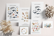 OCEAN Undersea Coral reef animals, an Animal Illustration by Grace Noboa Illustrations (Thumbnail 5 of 15)