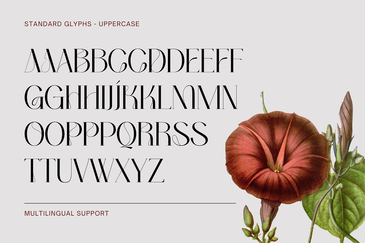 Bumerang - Display Serif, a Serif Font by Nirmana Visual (Photo 10 of 15)