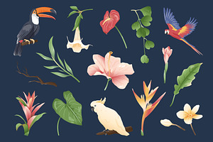 Tropical Illustrations Set