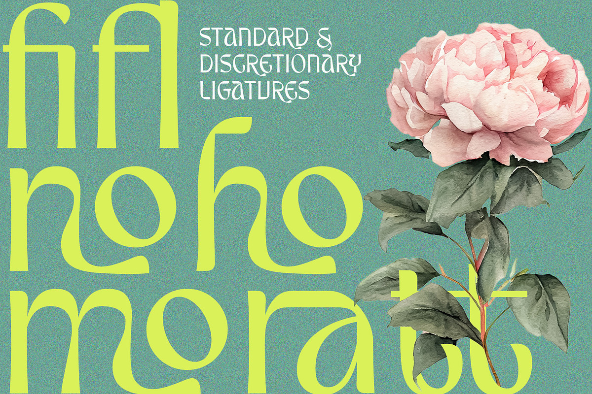 Veganza – Quirky Display Font, a Sans Serif Font by Almarkhatype (Photo 7 of 11)