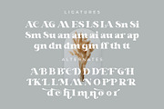 Glaure Vintage Serif Font, a Serif Font by Idea Studio (Thumbnail 9 of 10)